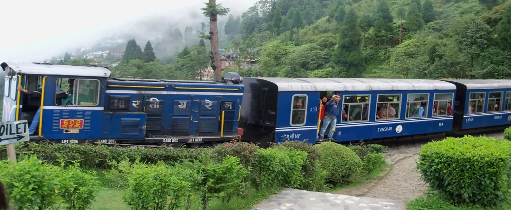 Darjeeling Toy Train