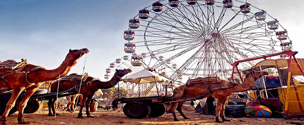 pushkar_camel_fair