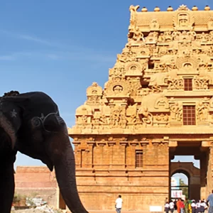 Mini South India(Madurai, Rameshwaram, Kanyakumari)