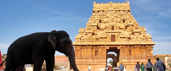 Mini South India(Madurai, Rameshwaram, Kanyakumari)