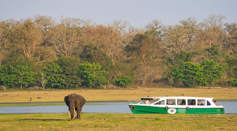 Kabini River Lodge1