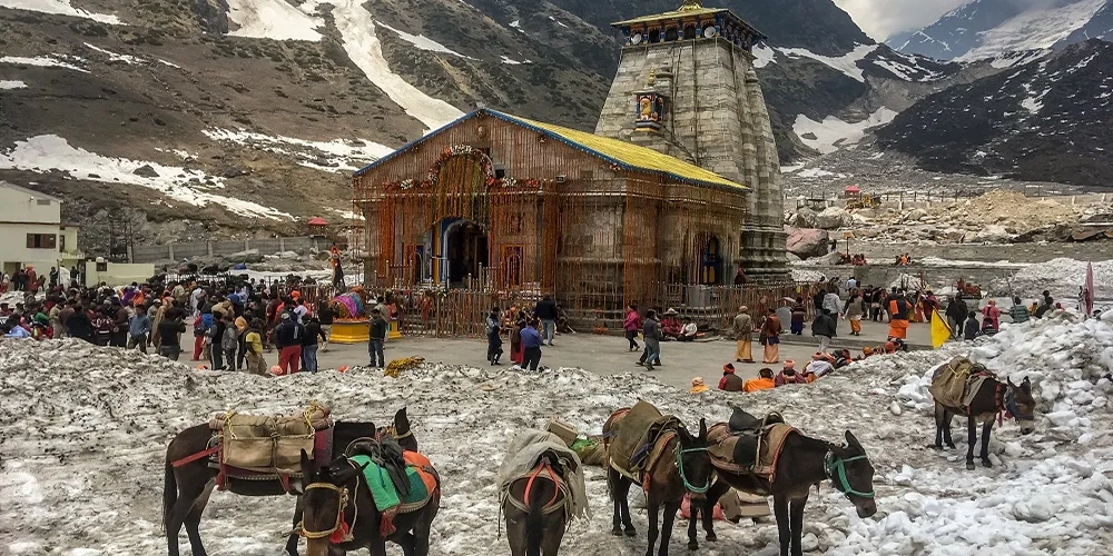 Chardham Yatra ex Bhubaneswar